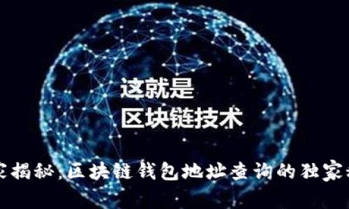 专家揭秘：区块链钱包地址查询的独家秘诀