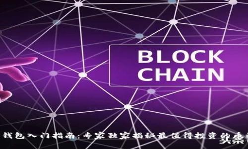 以太坊钱包入门指南:专家独家揭秘最值得投资的币种秘诀!