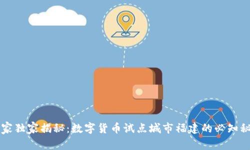专家独家揭秘：数字货币试点城市福建的必知秘诀