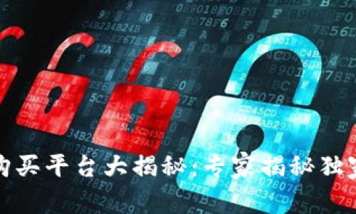 数字货币购买平台大揭秘:专家揭秘独家购币秘诀