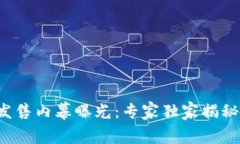 数字货币发售内幕曝光：专家独家揭秘发售秘诀