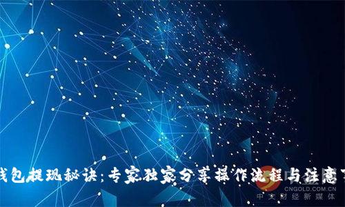 TP钱包提现秘诀:专家独家分享操作流程与注意事项