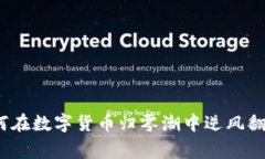 专家揭秘：如何在数字货币归零潮中逆风翻盘的