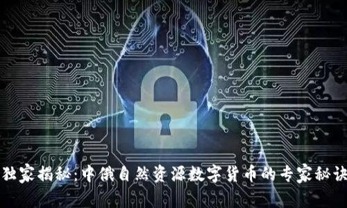 独家揭秘:中俄自然资源数字货币的专家秘诀