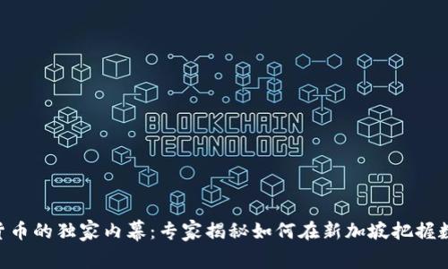 DBS银行数字货币的独家内幕:专家揭秘如何在新加坡把握数字经济的秘诀