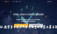 专家揭秘：数字货币特大网络传销案的