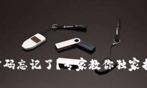 TP钱包密码忘记了?专家教你独家找回秘诀!