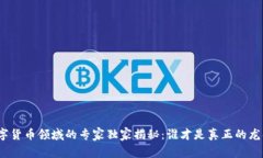 数字货币领域的专家独家揭秘：谁才是真正的龙