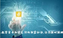 专家揭秘：数字货币加密支付的独家秘诀，让你