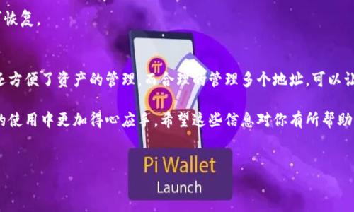 在谈论TP钱包（TokenPocket Wallet）时，理解它的地址数量是个很有趣的话题。TP钱包是一款多链数字资产钱包，支持多种区块链的资产管理。接下来，我们将深入探讨TP钱包中的地址数量和相关内容。

什么是TP钱包？
TP钱包是一款广受欢迎的数字资产钱包，允许用户存储、管理和交易多种加密货币。它支持以太坊、比特币、EOS等多种主流区块链，能够满足用户在多链环境下的需求。说真的，它的界面友好，功能多样，是很多区块链爱好者的首选。

TP钱包中的地址数量
在TP钱包中，一个钱包可以创建多个地址。实际上，用户可以为不同的区块链生成多个地址。例如，以太坊和比特币都有各自独立的地址，而同一个钱包内可能有多个以太坊地址，用于存储不同的代币或进行不同的操作。

具体说来，TP钱包允许用户创建新的地址，也就是说，你可以根据需要随时生成新的地址。例如，如果你打算做一个新的项目或者需要管理不同的资产，生成新地址是个不错的选择。这也意味你可以灵活管理你的资产，减少使用同一个地址带来的安全风险。

如何创建新地址？
创建新地址其实很简单。在TP钱包中，你可以找到相关的选项，通常位于钱包界面的设置或者管理部分。只需按几个按钮，你就能拥有新的地址。这样，你就可以在保持隐私的同时，进行更安全的交易。

多个地址的优势
那么，为什么要在一个钱包中使用多个地址呢？这又是个非常实际的问题。首先，使用多个地址可以增强隐私保护。每次进行交易时，使用不同的地址可以让别人更难追踪你的资金流动。

其次，多个地址适合不同的用途，比如你可以为长期持有的资产创建一个地址，而为日常交易使用另一个地址。这样一来，你就能够更有效地管理自己的资产，减少混乱。

管理多个地址的技巧
管理多个地址虽然有很多好处，但也会带来一定的挑战。比如，你可能会忘记某个地址的用途或者安全信息。为了避免这些问题，我建议你可以使用一些工具或软件来记录这些信息。

同时，你也可以考虑定期审核自己的地址，查看哪些地址在正常使用，哪些则可能被闲置。这样一来，既能保持钱包的整洁，又能及时发现异常的情况。

TP钱包的安全性
在使用TP钱包的时候，安全性绝对是一个不能忽视的因素。虽然创建多个地址可以带来隐私上的好处，但同时你也需要注意保护这些地址的安全。建议大家使用强密码，定期修改密码，并开启双重认证。

此外，注意备份你的钱包信息，包括助记词和私钥。一旦丢失，将会非常麻烦，甚至可能导致资产的不可恢复。

总结
综上所述，TP钱包的灵活性使得它能够支持多个地址的生成。这不仅为用户提供了更高的隐私保护，还方便了资产的管理。而合理的管理多个地址，可以让我们的数字资产生活更加有序和安全。

如果你是区块链的新手，建议在使用TP钱包的时候，多花一些时间了解其中的细节。这会让你在日后的使用中更加得心应手。希望这些信息对你有所帮助，能让你在数字资产的世界中更加游刃有余。

TP钱包, 数字资产, 地址管理/guanjianci  
TP钱包独家揭秘：一个钱包可以创建多少个地址？专家教你安全管理！