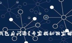升级TP钱包后闪退？专家揭秘独家解决秘诀！
