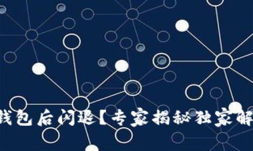 升级TP钱包后闪退？专家揭秘独家解决秘诀！