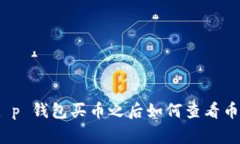 专家教你：t p 钱包买币之后如何查看