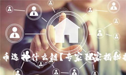 TP钱包提币选择什么链？专家独家揭秘提币秘诀！