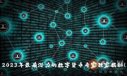 2023年最有潜力的数字货币专家独家揭秘!