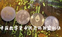 专家揭秘：中国数字货币试点的独家秘