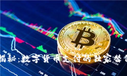 专家揭秘:数字货币支付的独家替代秘诀
