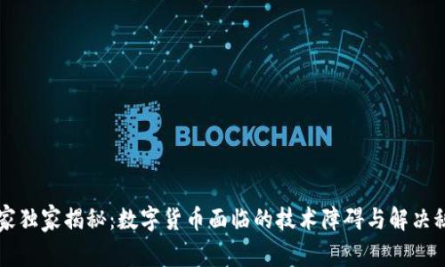 专家独家揭秘:数字货币面临的技术障碍与解决秘诀
