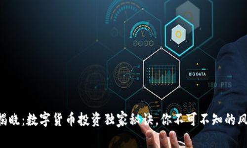 专家揭晓:数字货币投资独家秘诀,你不可不知的风向标!
