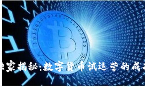 专家独家揭秘：数字货币试运营的成功秘诀