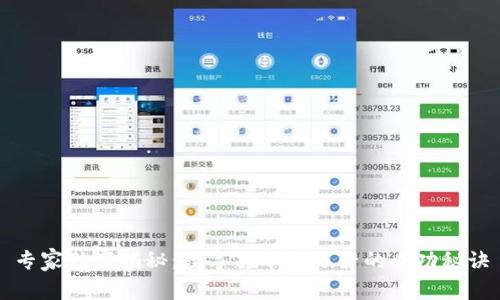 专家独家揭秘：数字货币试运营的成功秘诀