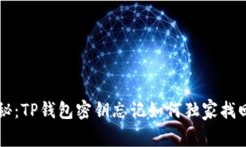 专家揭秘：TP钱包密钥忘记如何独家找回的秘诀