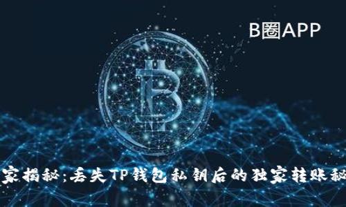 专家揭秘：丢失TP钱包私钥后的独家转账秘诀