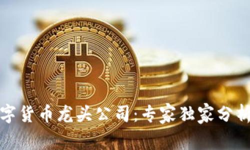 揭秘央行数字货币龙头公司：专家独家分析与成功秘诀