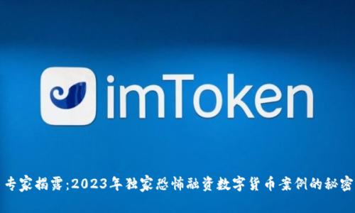 专家揭露：2023年独家恐怖融资数字货币案例的秘密