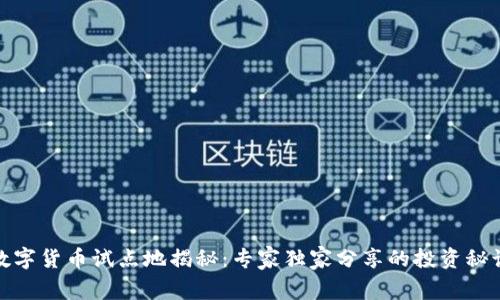 数字货币试点地揭秘：专家独家分享的投资秘诀
