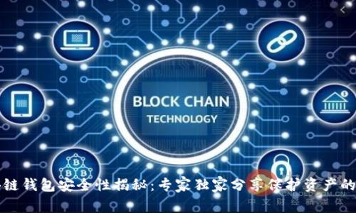 区块链钱包安全性揭秘:专家独家分享保护资产的秘诀