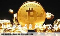 如何导入TP钱包并查看资产？专家揭秘