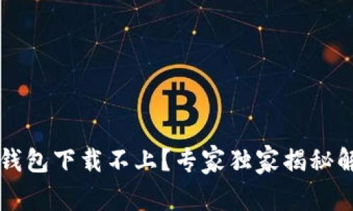 以太坊钱包下载不上?专家独家揭秘解决秘诀