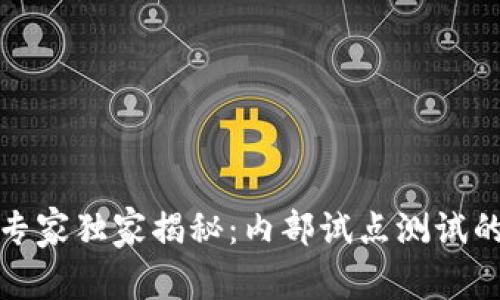 数字货币专家独家揭秘：内部试点测试的关键秘诀
