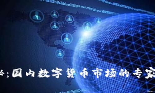 2023年独家揭秘：国内数字货币市场的专家分析与未来趋势