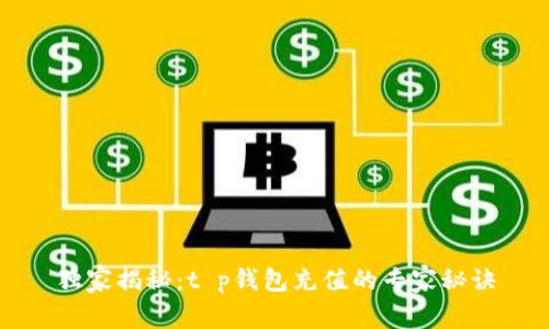 独家揭秘：t p钱包充值的专家秘诀