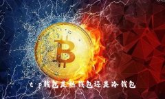 t p钱包是热钱包还是冷钱包