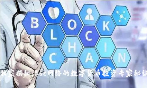 独家揭秘：Bsc网络的数字货币投资专家秘诀