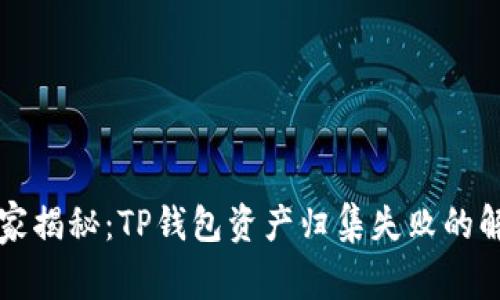 专家独家揭秘：TP钱包资产归集失败的解决秘诀
