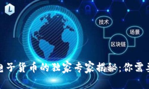 数字货币与电子货币的独家专家揭秘：你需要知道的秘诀