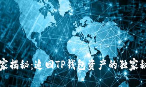 专家揭秘:追回TP钱包资产的独家秘诀