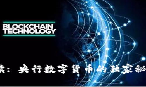 2023年度专家解读: 央行数字货币的独家秘诀与未来发展趋势