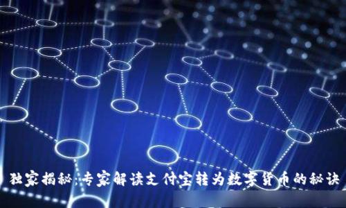 独家揭秘：专家解读支付宝转为数字货币的秘诀