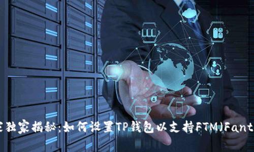 专家独家揭秘:如何设置TP钱包以支持FTM(Fantom)