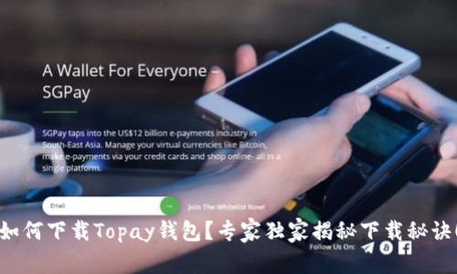 如何下载Topay钱包?专家独家揭秘下载秘诀!