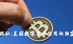 专家揭秘：美国数字货币使用的独家秘