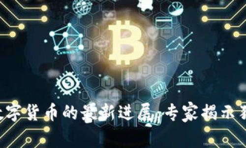 柬埔寨数字货币的最新进展：专家揭示独家秘诀！