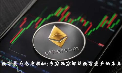 缅甸数字货币态度揭秘：专家独家解析数字资产的未来秘诀