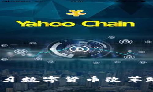 专家解读:西班牙数字货币改革政策的独家秘诀