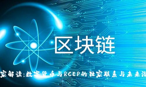 专家解读:数字货币与RCEP的独家联系与未来潜力